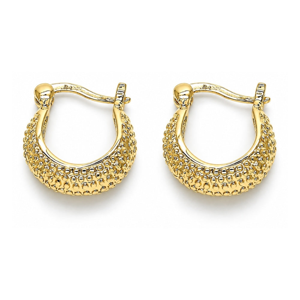 Oro Laminado Small Hoop, Gold Filled Style Polished, Golden Finish