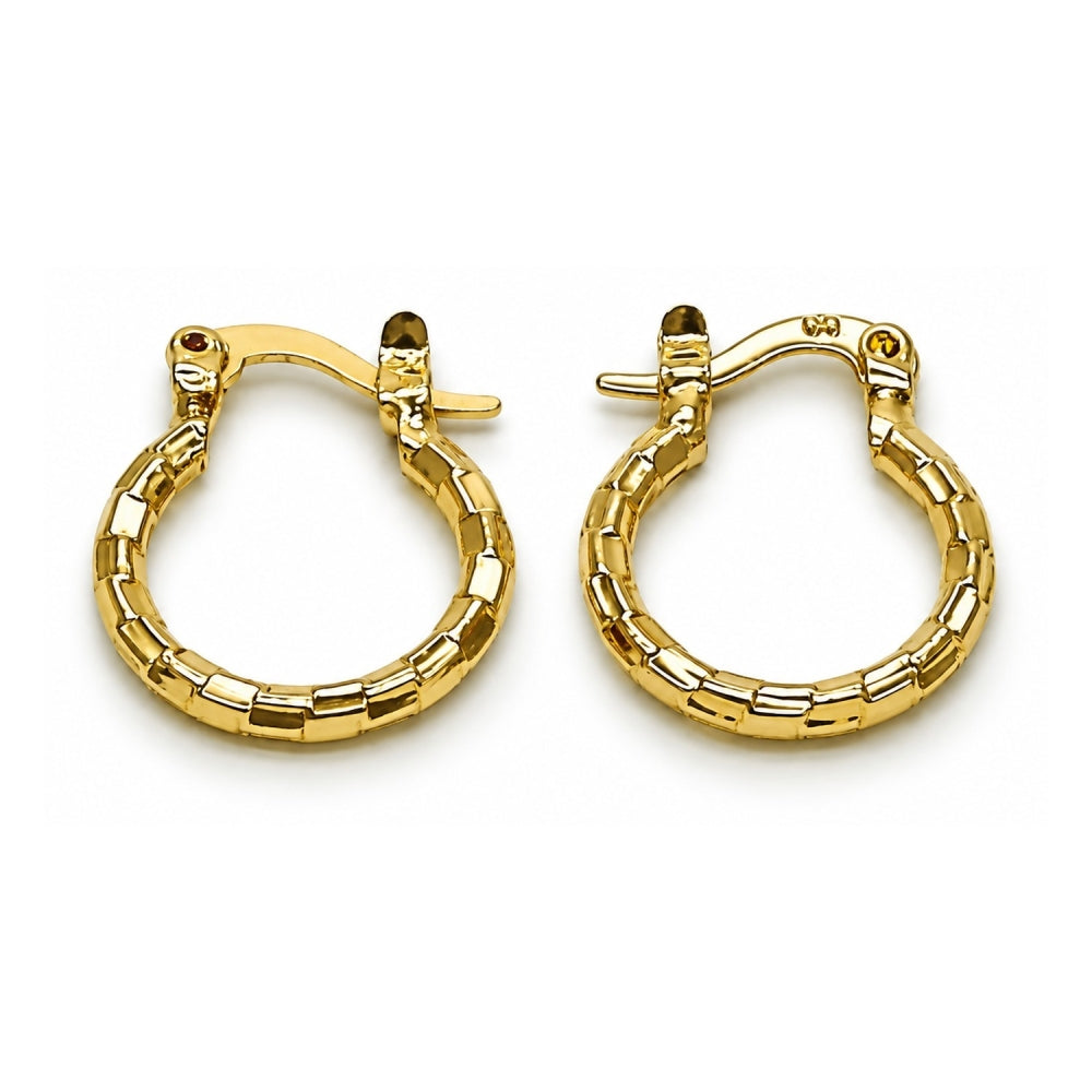 Oro Laminado Small Hoop, Gold Filled Style Diamond Cutting Finish, Golden Finish